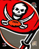 Tampa Bay Buccaneers 2011 Logo Photo