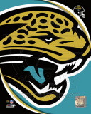Jacksonville Jaguars 2011 Logo Foto