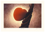 Blessed Limited Edition by Mackenzie Thorpe