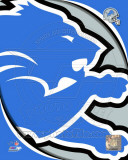 Detroit Lions 2011 Logo Photo
