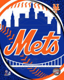 2011 New York Mets Team Logo Photo