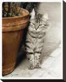 Minou Reproduction transférée sur toile par Joane Mcdermott
