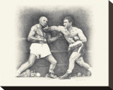 Rocky Marciano Reproduction transférée sur toile : par Allen Friedlander