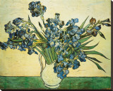 Vase of Irises, c.1890 Stretched Canvas Print by Vincent van Gogh