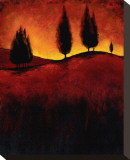 Vermillion Pastoral II Reproduction transférée sur toile : par Jay Molando