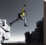 Leap Stretched Canvas Print