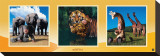 Imaginary Safari Reproduction transférée sur toile : par Tom Arma