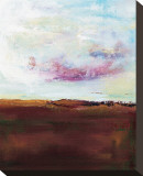 Adam's Island Juniper Stretched Canvas Print by Collin Lafayette