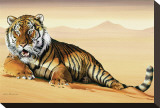 Tiger in Sand Stretched Canvas Print by Ken Messom