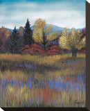 Landscape Stretched Canvas Print by Stefan Greenfield