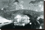 Winter in Central Park Stretched Canvas Print