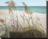 Sea Oats Stretched Canvas Print by Pamela Jablonski