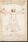 Hombre de Vitruvio Reproducción en lienzo de la lámina por Leonardo da Vinci Hombre de Vitruvio Reproducción en lienzo de la lámina por Leonardo da Vinci