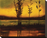 Eclat de coucher de soleil Reproduction transférée sur toile : par Judith D'Agostino