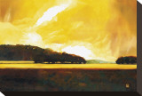 Yellow Storm at the Lake Stretched Canvas Print by Judith D'Agostino