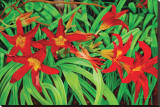 Just Lilies Stretched Canvas Print by Pamela Jablonski