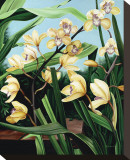Orchidées jaunes Reproduction transférée sur toile : par Pamela Jablonski