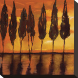 Peaceful Trees at Sunset Stretched Canvas Print by Judith D'Agostino