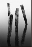 Four Pier Pilings Stretched Canvas Print by Shane Settle