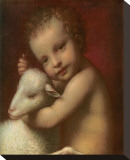 San Giovannino Stretched Canvas Print by Bernardino Luini
