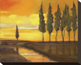 Yellow Sunset over Water I Stretched Canvas Print by Judith D'Agostino
