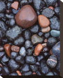 Beaver Bay Rocks I Stretched Canvas Print by Danny Burk