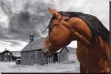 Looking Back at the Past Stretched Canvas Print by Stephanie Laird