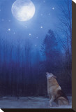Einsamer Wolf Leinwand von Stephanie Laird