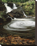 Overlooked Falls Stretched Canvas Print by Danny Burk