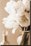 Tulips in Sepia Stretched Canvas Print by Christine Zalewski