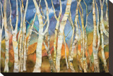 Birch Grove II Stretched Canvas Print by Sharon Pitts