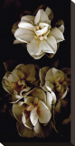 White Flowers Delight II Stretched Canvas Print by Richard Sutton