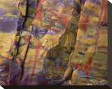 Petrified Wood II Stretched Canvas Print by Danny Burk