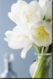 White Tulips Bouquet Reproduction transférée sur toile par Christine Zalewski