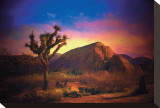 Desert Colors Stretched Canvas Print by Stephanie Laird