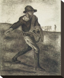 Sower (after Millet) Stretched Canvas Print by Vincent van Gogh