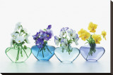 Pansy Party Stretched Canvas Print by Christine Zalewski