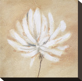 Tan and White Stretched Canvas Print by Sarah Parker