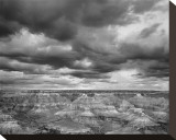Grand Canyon Powell Point Black and White I Stretched Canvas Print by Danny Burk