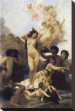 The Birth of Venus Stretched Canvas Print by William Adolphe Bouguereau