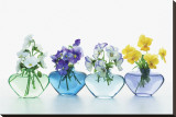 Pansy Party Stretched Canvas Print by Christine Zalewski