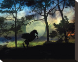 Pegasus Moon Leinwand von Stephanie Laird