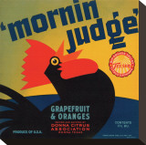 Mornin Judge Grapefruit and Oranges Stretched Canvas Print