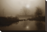 Sepia Soft Stretched Canvas Print by Dan Magus