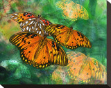 Orange Butterfly Fantasy II Stretched Canvas Print by Melinda Bradshaw