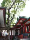Shrine 4 Photographie par Ryuji Adachi