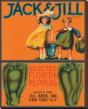 Jack & Jill Brand Selected Florida Peppers Stretched Canvas Print