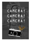 Camera Gray Lámina giclée por Ikuko Kowada
