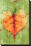 Leaf I Stretched Canvas Print by Monica Wang