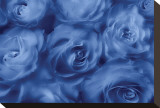 Roses Are Blue Stretched Canvas Print by Dan Magus
